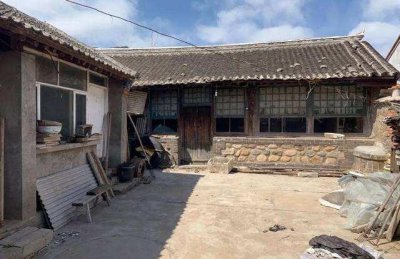 流浪猫进门后的灾难破解方法 我怎么做才能没有灾难