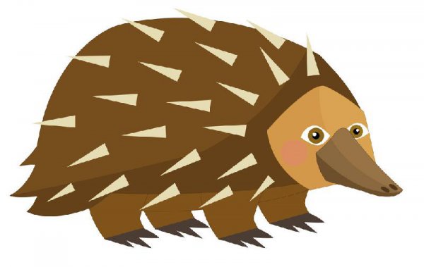 什么程度叫的上自残