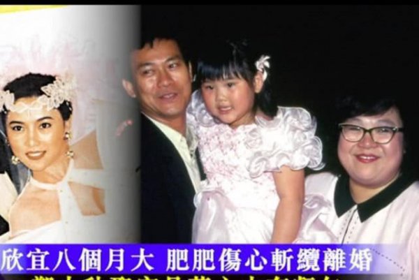 沈殿霞为何不动官晶华