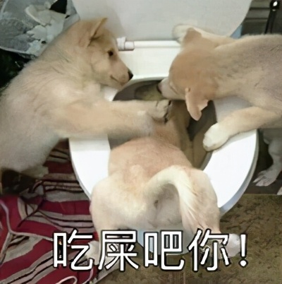 兔子吃自己的粪便怎么回事