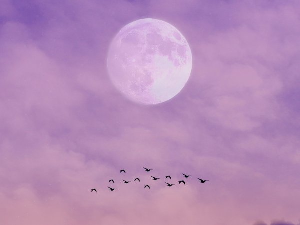 每天忙忙碌碌人生感悟