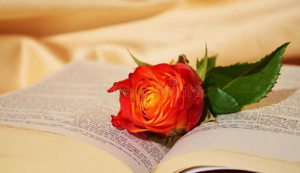 挽留一个人最好的方式是什么