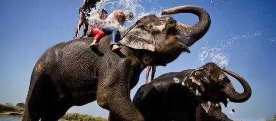 泰国为什么人妖那么多