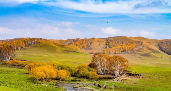 志当存高远什么意思