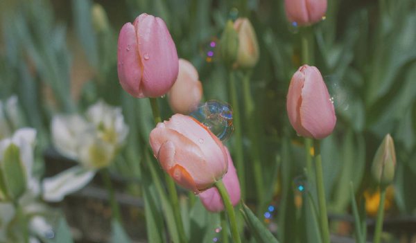 挽回摩羯男的必杀技