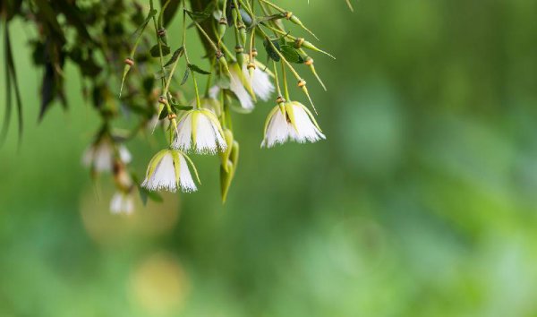 怎么放下一个深爱的人