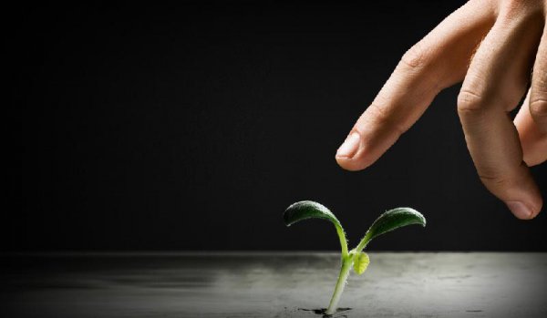 地球上的水是从哪里来的