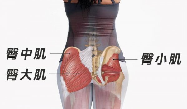 身材黄金比例怎么算出来的