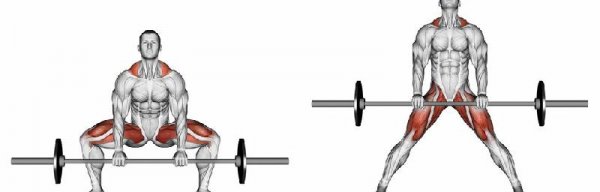 身材黄金比例怎么算出来的