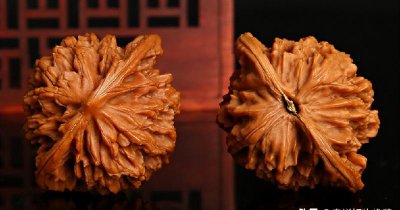 年轻人不要玩核桃 年轻人经常玩核桃有什么不好