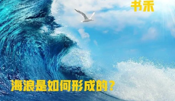 海浪是怎么形成的简介