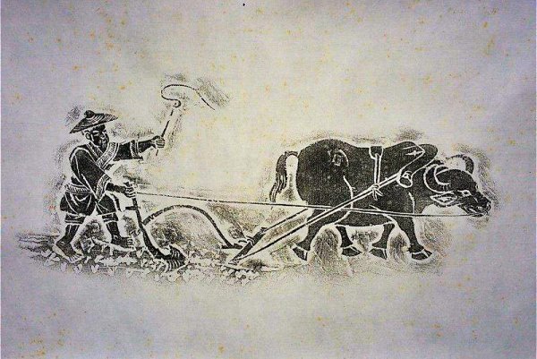 商鞅变法为什么要废除井田制