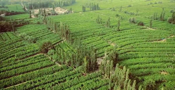 吐鲁番坎儿井干涸的原因