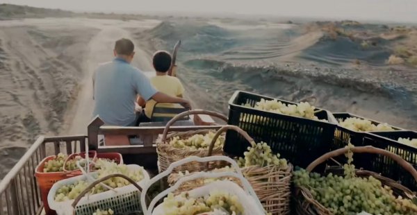 吐鲁番坎儿井干涸的原因