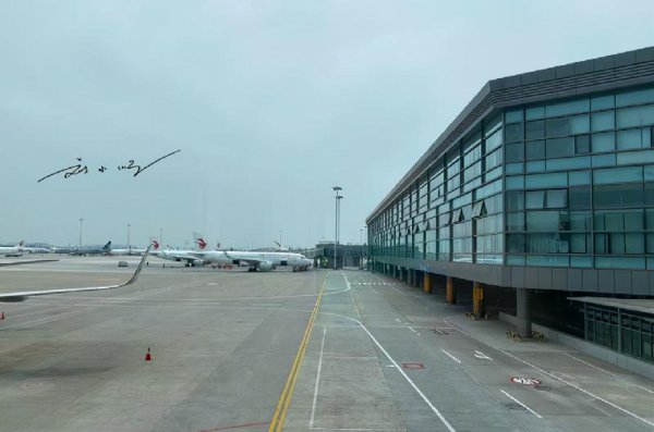 坐飞机可以说一路顺风吗