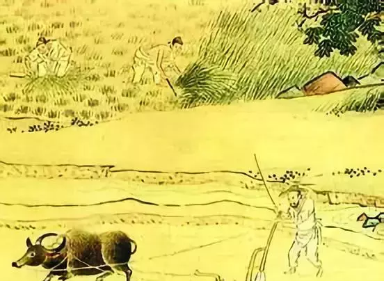 四大喜事洞房花烛夜金榜题名时