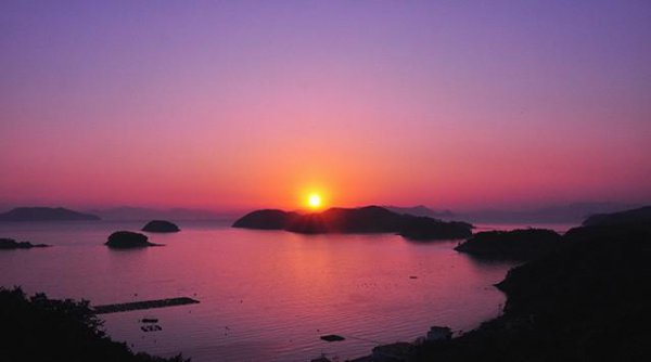 弱者道之用反者道之动什么意思