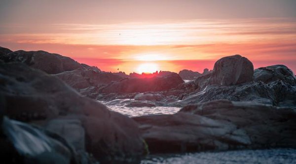 弱者道之用反者道之动什么意思