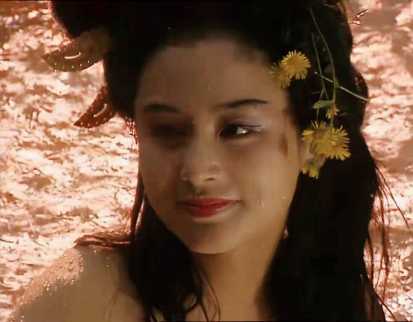 三国貂蝉的第一次到底给了谁