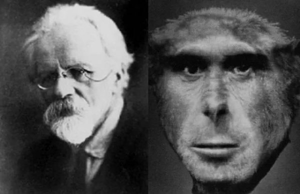 人类与黑猩猩杂交实验