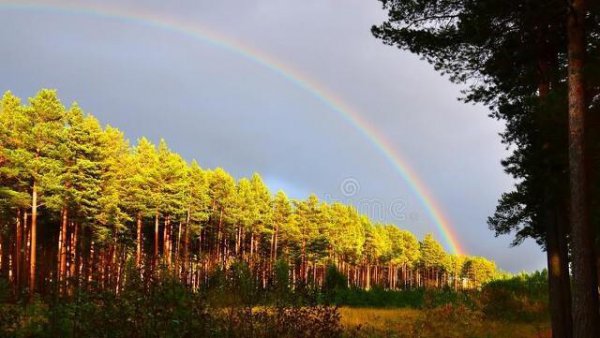 鲁智深火烧瓦罐寺起因经过结果概括