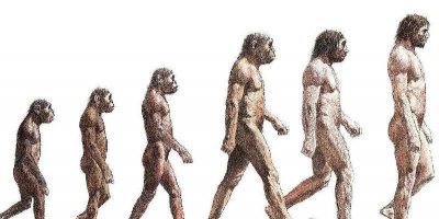 人类根本不是进化来的可信吗 人类一直都有的证据