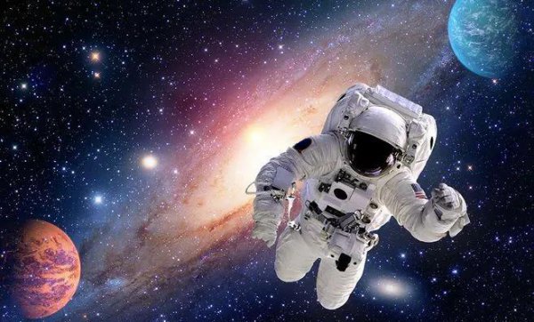 人类根本不是进化来的可信吗