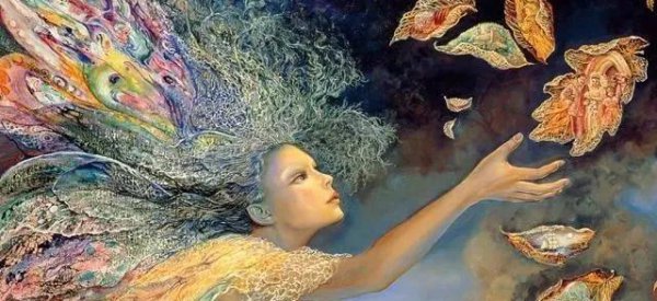 人类根本不是进化来的可信吗