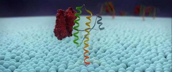 世界上最可怕的病毒第一名