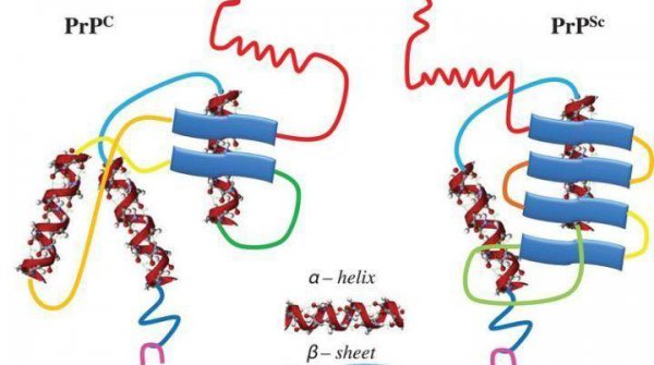 世界上最可怕的病毒第一名