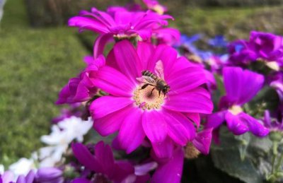 老婆出轨的十大表现 老婆出轨被发现后沉默不语