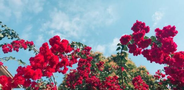 老婆出轨的十大表现