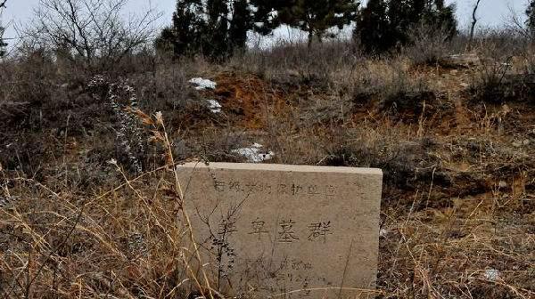 五胡乱华吃人是真的吗