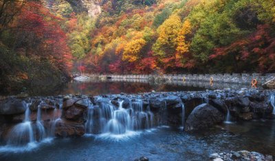 狮子座对待感情的态度 狮子座为什么对感情很极端