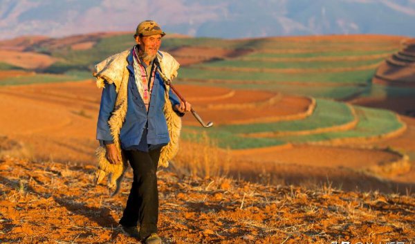 50岁生日叫什么寿