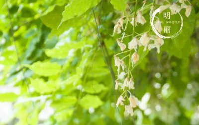 老公出轨保证书内容出于自愿 男人保证书怎么写给老婆