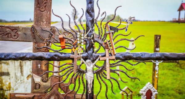 立陶宛是哪个洲的国家