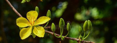 无为而治是什么意思 详细解释道家的无为而治