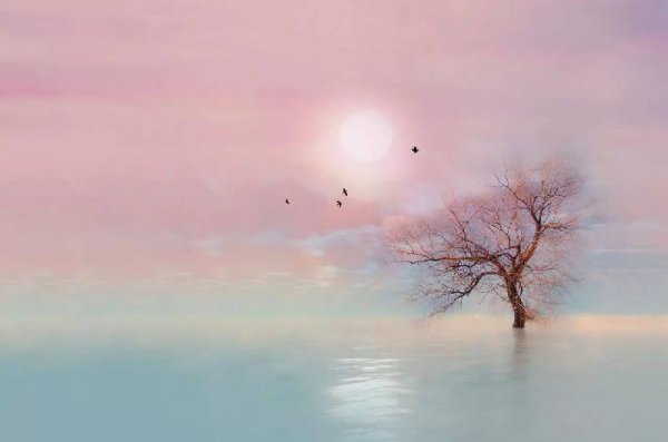 墨菲定律告诉我们什么道理