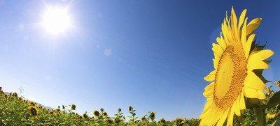 墨菲定律告诉我们什么道理