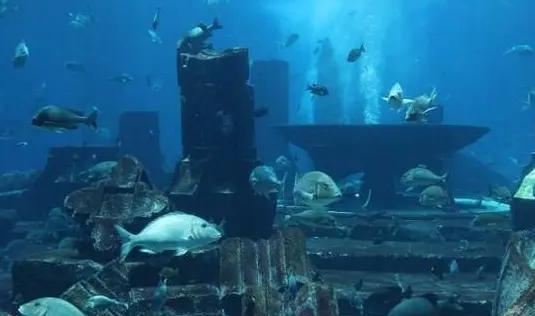 北纬30度未解之谜和神秘事件