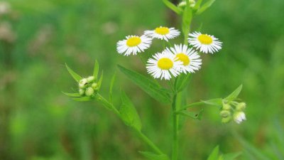 摩羯男一见钟情的女生类型 情有独钟女生是什么样的
