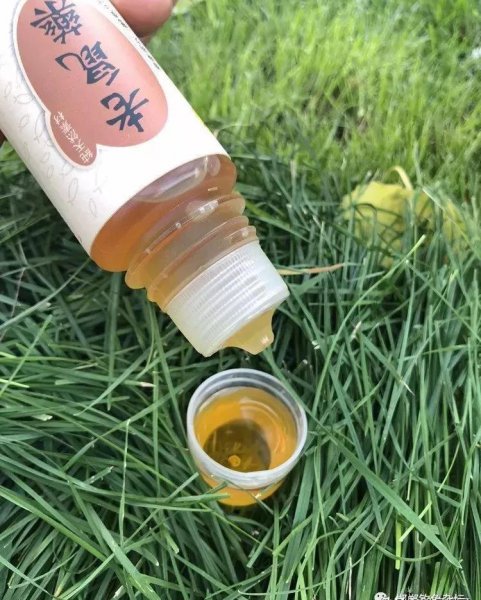 家里抓老鼠最有效方法