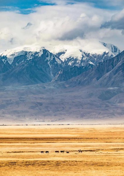 长江发源地在什么地方哪个省