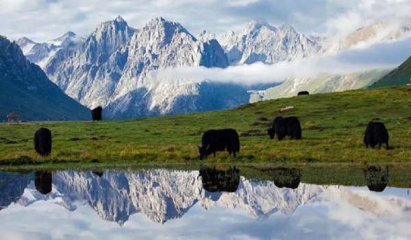 长江发源地在什么地方哪个省