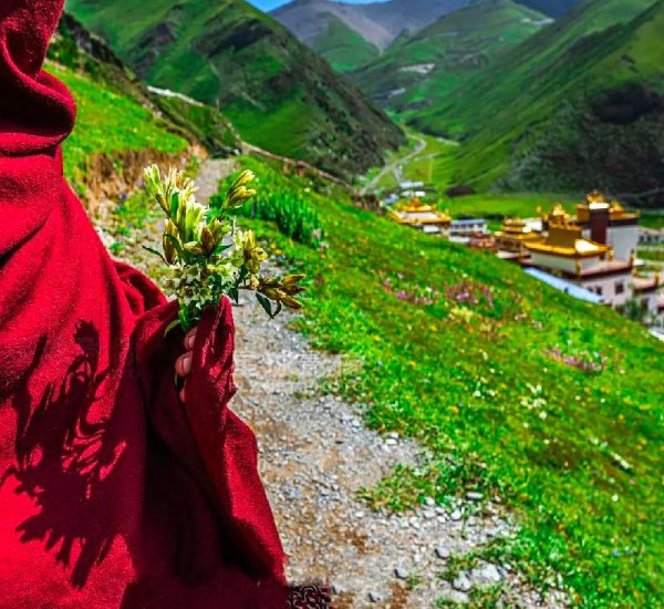 长江发源地在什么地方哪个省