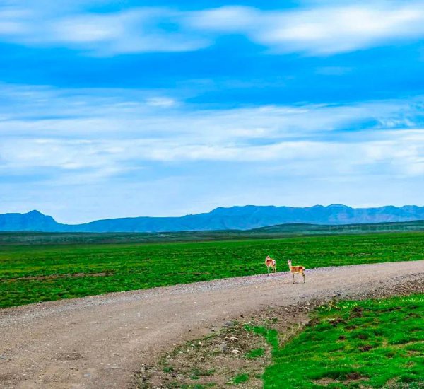 长江发源地在什么地方哪个省