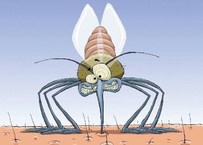 蚊子喜欢咬的8类人是真的吗 聪明蚊子喜欢咬什么样的人