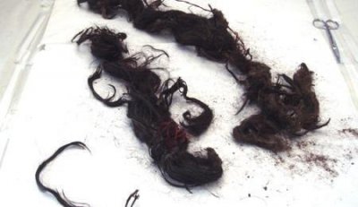 光绪皇帝遗体出土照片 光绪陵墓出土文物真实图片