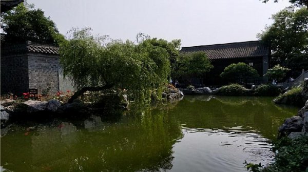 杜少卿人物形象分析结合具体情节